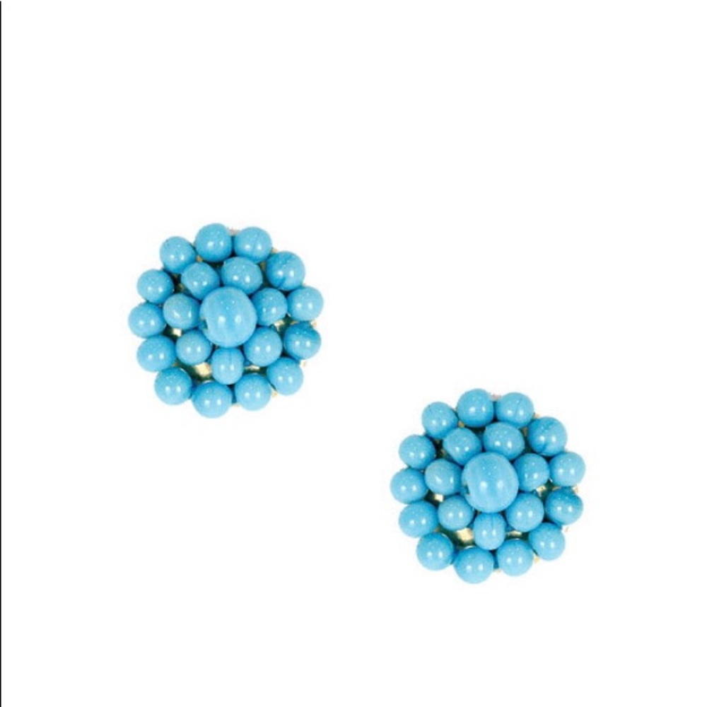 Lisi Lerch Button post earrings in Turquoise